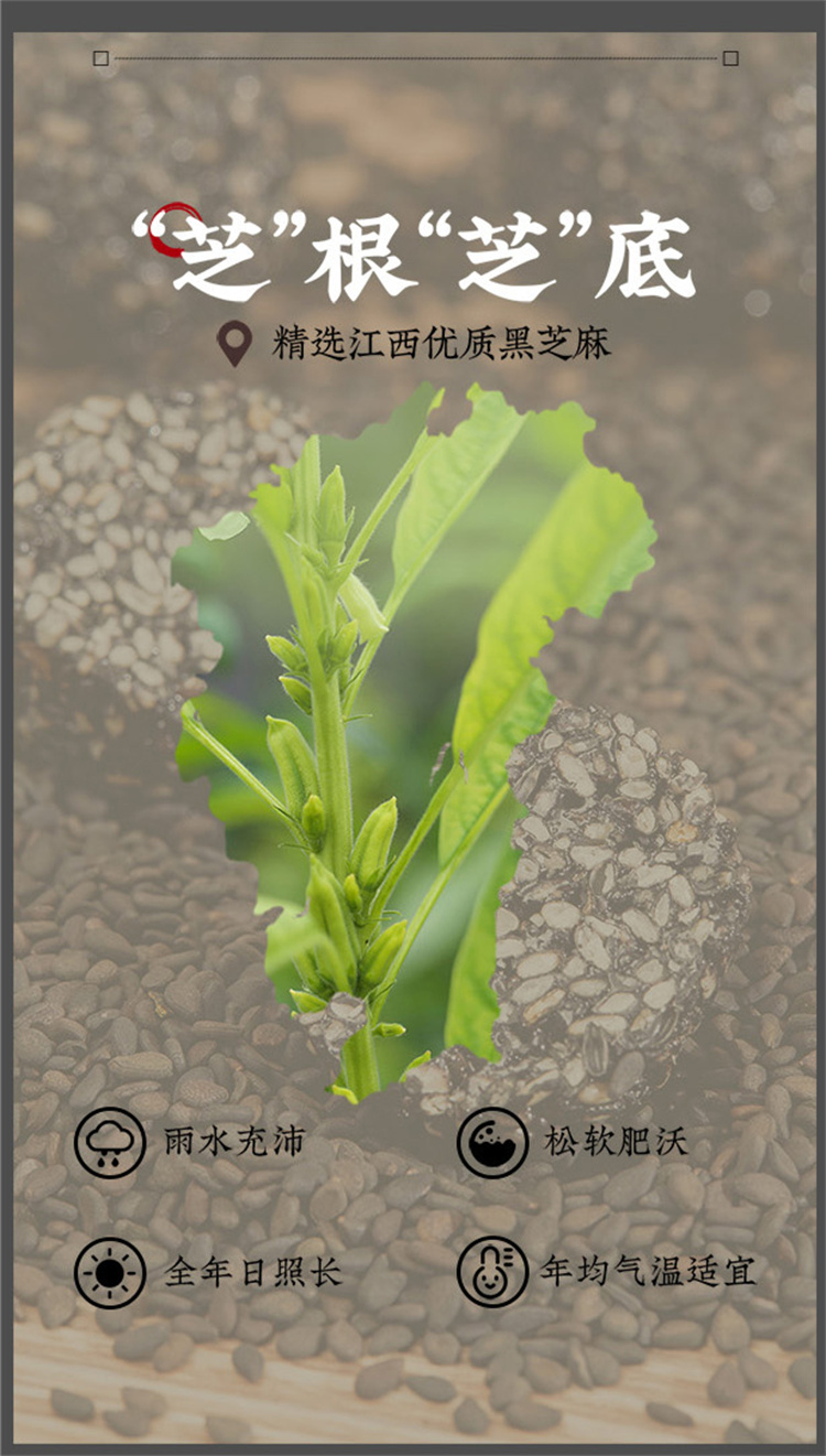 黑芝麻丸